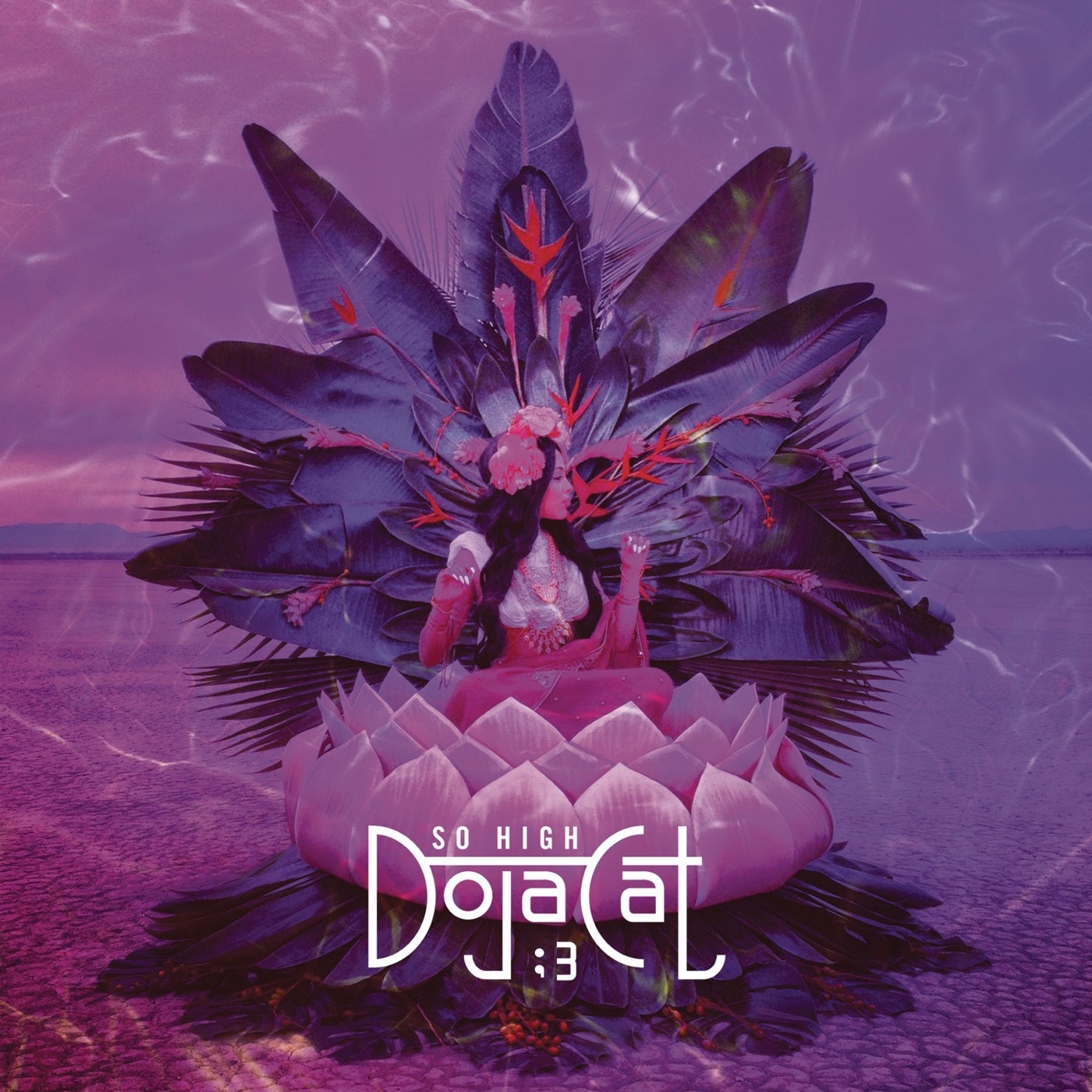 图片[1]-Doja Cat – So High – SingleⒺ(886444516563)【16bit／44.1kHz】土耳其区-OppsUnote音乐广场