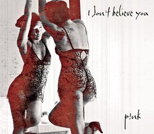 P!nk – I Don’t Believe You – Single(884977437546)【16bit／44.1kHz】土耳其区-OppsUnote音乐广场