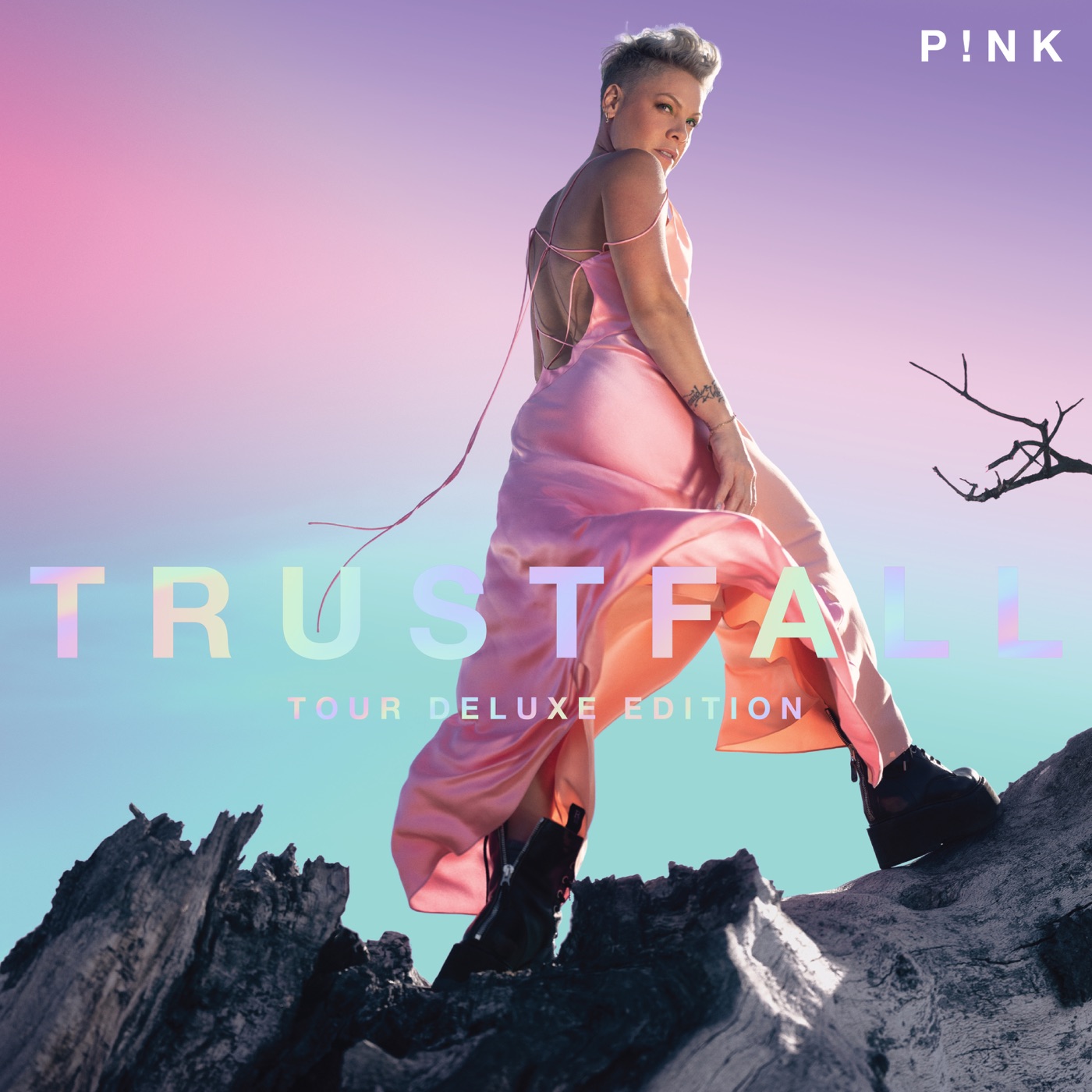 P!nk – TRUSTFALL (Tour Deluxe Edition)Ⓔ(196871357180)【24bit／44.1kHz】土耳其区-OppsUnote音乐广场