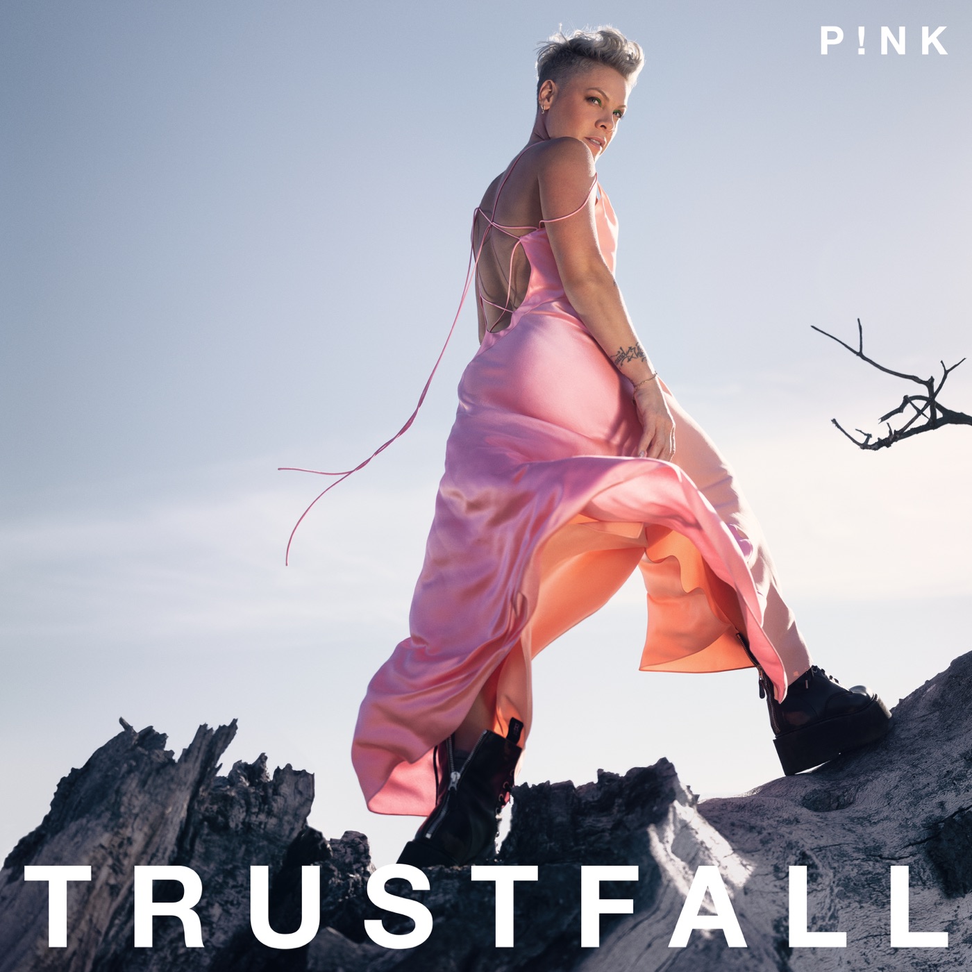P!nk – TRUSTFALL(196589875488)【24bit／44.1kHz】土耳其区-OppsUnote音乐广场