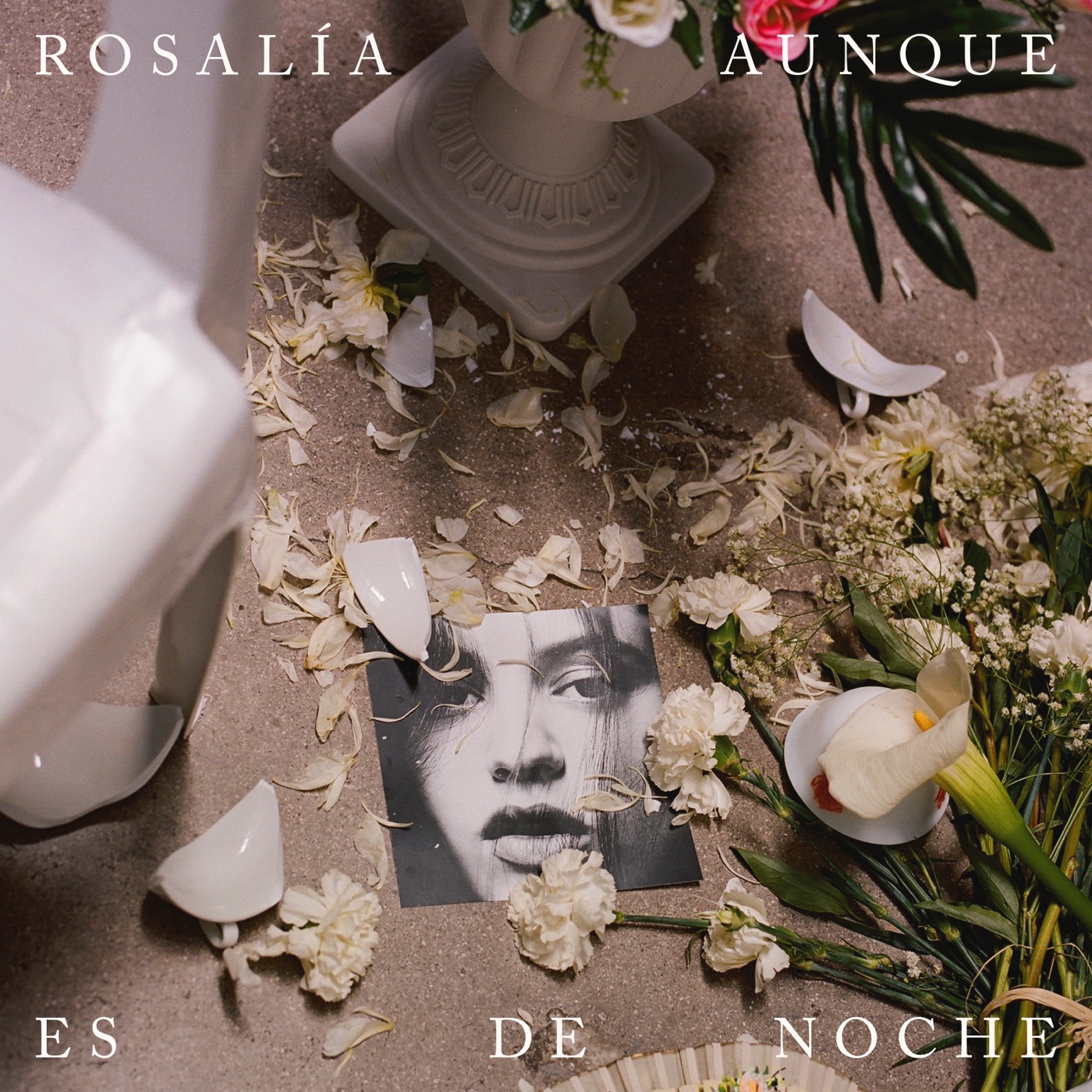 图片[1]-ROSALÍA – Aunque Es De Noche – Single(00602567128991)【16bit／44.1kHz】土耳其区-OppsUnote音乐广场