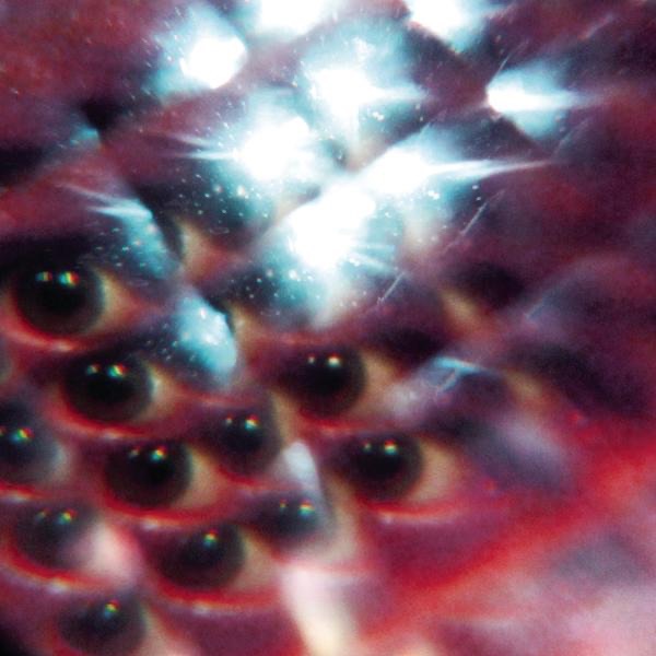MGMT - Flash Delirium - Single(884977553352)【16bit／44.1kHz】美国区-OppsUnote音乐广场