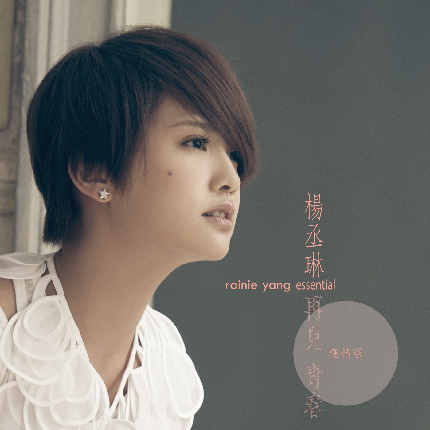 图片[1]-杨丞琳 – 杨丞琳 再见 青春 极精选(886446885612)【24bit／44.1kHz】台湾区-OppsUnote音乐广场